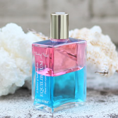 イクイリブリアム